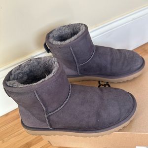 Ugg Mini in Limited Edition Color NHT (dark purple/gray)